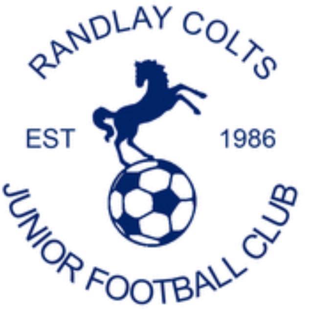 Join in competitive team sports Image for Randlay Colts Junior Football Club